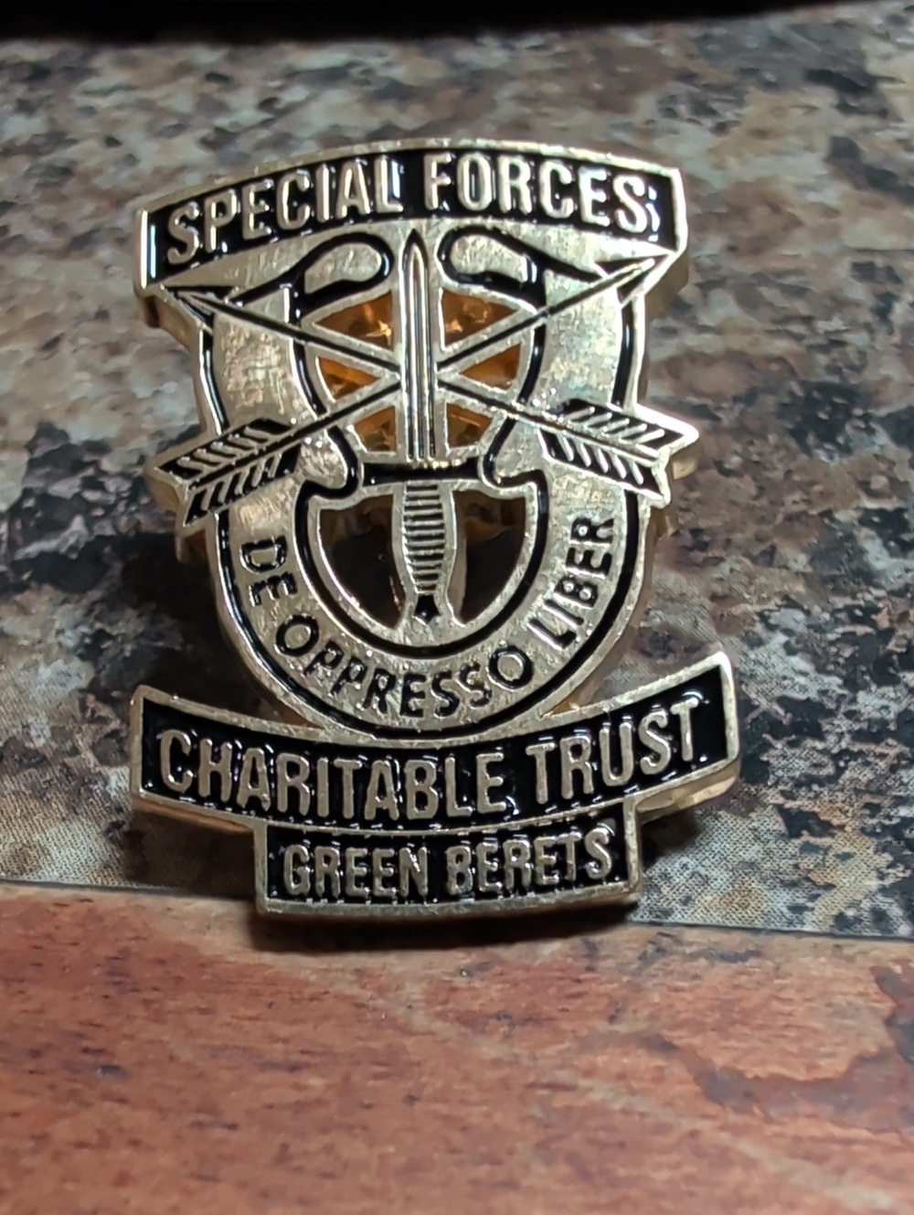 Special Forces Green Berets Charitable Trust Enamel Pin - Gold & Black